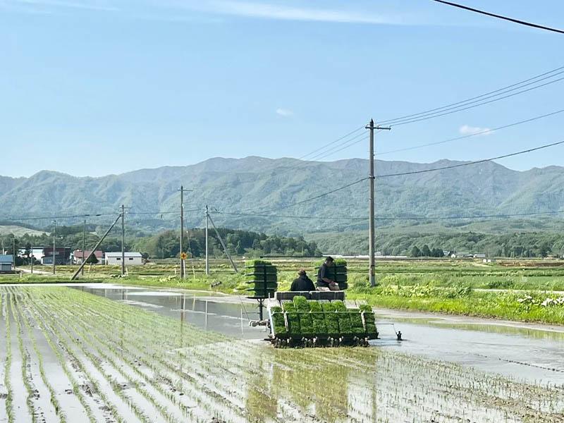 The water level sensor of a rice transplanter is often immersed in muddy water (depth 10cm). Which connector should be selected?
