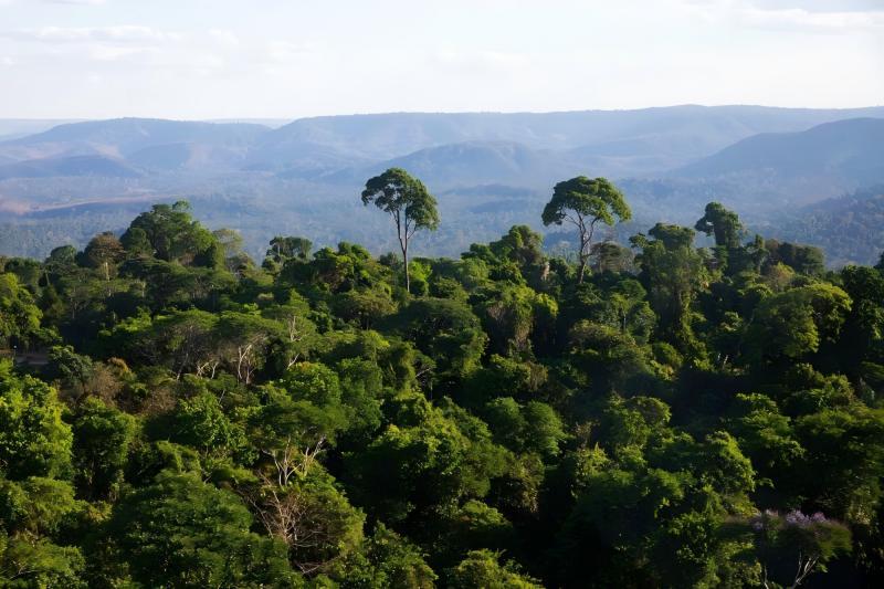 Aviation Connectors Plug