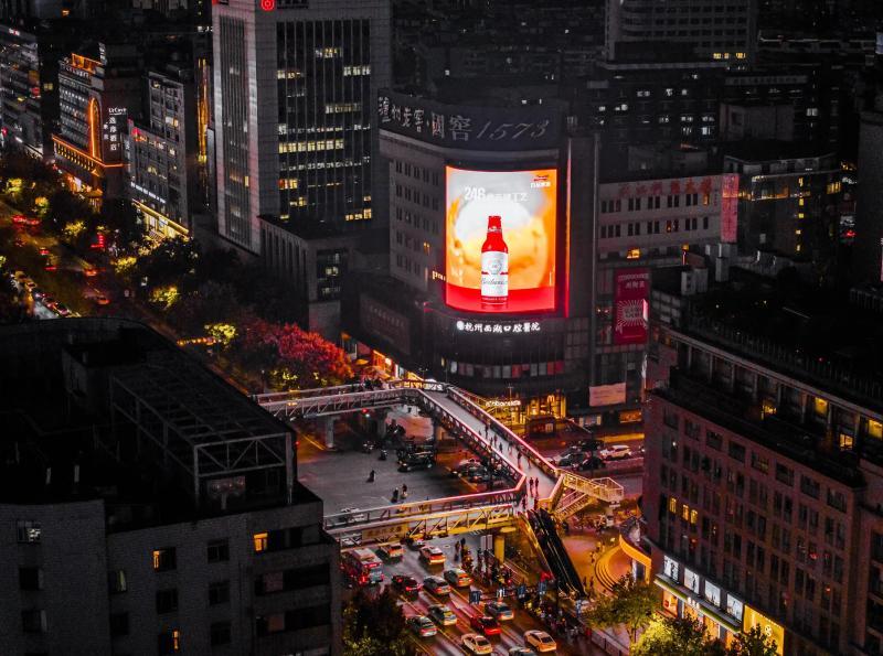 Network Audio Video Connector