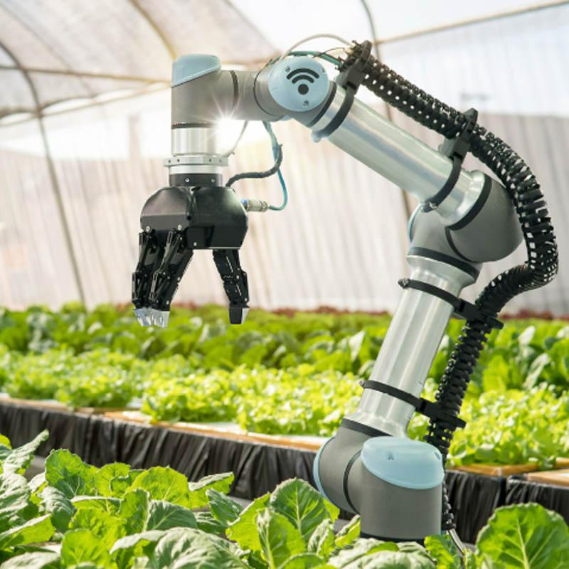 LD12 Docking Connector Used in Smart Agriculture in Mexico